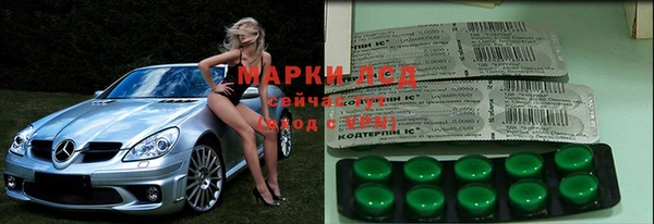 спайс Аркадак