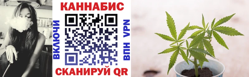 Шишки марихуана SATIVA & INDICA  Купить где  Сегежа 